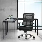 Ergonomic Office Chair with Lumbar Support