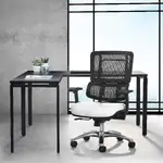 Ergonomic Office Chair with Lumbar Support