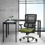 Ergonomic Office Chair with Lumbar Support