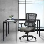 Task Chair with Lumbar Support