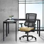 Task Chair with Lumbar Support