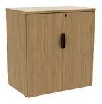 Small Storage Cabinet