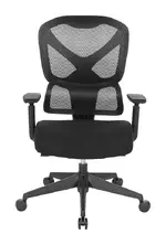 Ergonomic Office Chair