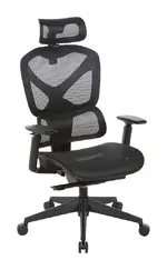 Ergonomic Office Chair