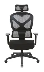 Ergonomic Office Chair