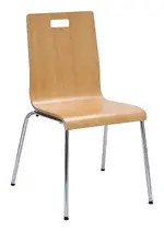 Modern Dining Chair