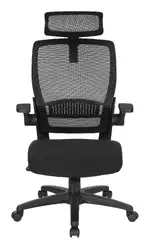 Ergonomic Desk Chair