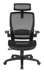 Ergonomic Desk Chair