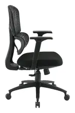 Ergonomic Desk Chair