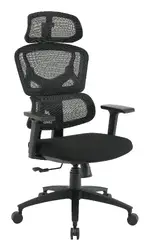 Ergonomic Desk Chair