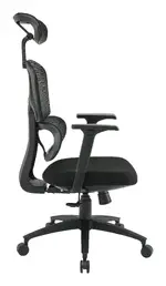 Ergonomic Desk Chair