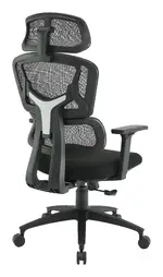 Ergonomic Desk Chair