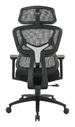 Ergonomic Desk Chair