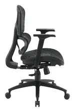 Ergonomic Desk Chair