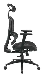 Ergonomic Desk Chair