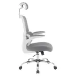 Mesh Back Office Chair