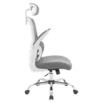 Mesh Back Office Chair