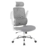 Mesh Back Office Chair