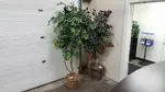 Assorted Large Artificial Fake Plants