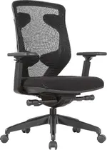 Mesh Back Ergonomic Computer Chair