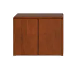 Small Storage Cabinet