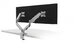 Dual Monitor Mount