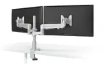 Dual Monitor Mount