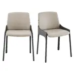 Elegant Guest Chair - Set of 2