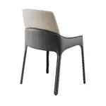 Elegant Guest Chair - Set of 2