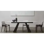 Elegant Guest Chair - Set of 2