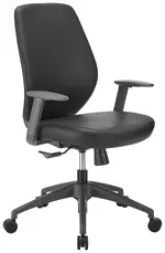 Low Back Modern Office Chair