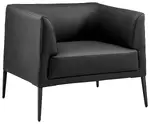 Sophisticated Lounge Chair