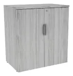 Office Storage Cabinet