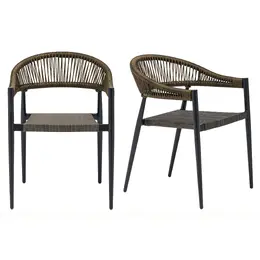 Modern Coastal Armchair - Set of 2  - Iselin Series