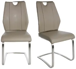 Urban Cantilever Chair - Set of 2 - Lexington