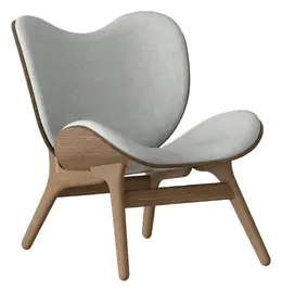 Modern Accent Chair - A Conversation Piece