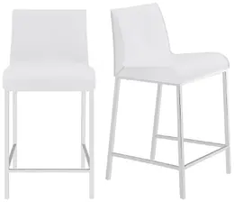 Contemporary Leather Counter Stool - Set of 2 - Cam