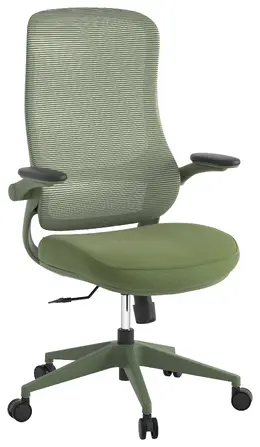 Ergonomic High Back Office Chair - Verde