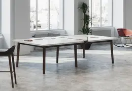 Ping Pong Table - Voodoo