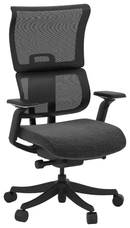 Ergonomic Gaming Chair - Phaser