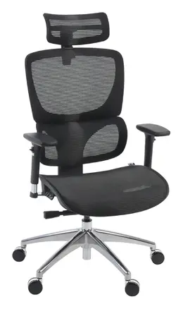 Mesh Ergonomic Executive Chair - Omega Series
