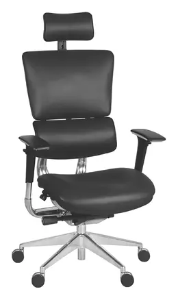 Ergonomic Executive Chair - Omega