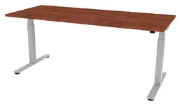 Electric Sit Stand Desk - PL Laminate