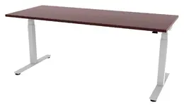 Electric Sit Stand Desk - PL Laminate