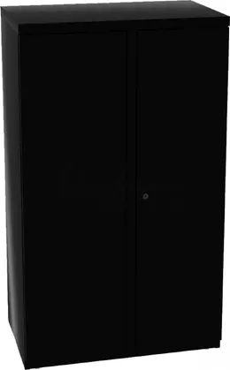 Large Storage Cabinet