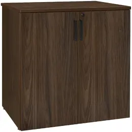Storage Cabinet with Lock - Legacy