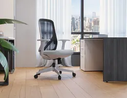 Ergonomic Task Chair - Perche