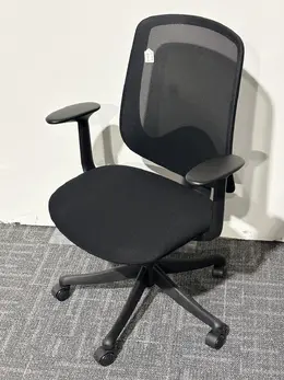 Mesh Back Office Chair - Perche Series