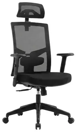 Ergonomic Office Chair with Headrest - OFI