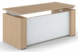 Standing Desk with Glass Modesty Panel - Elevare